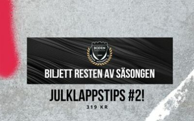 julklappstips 2